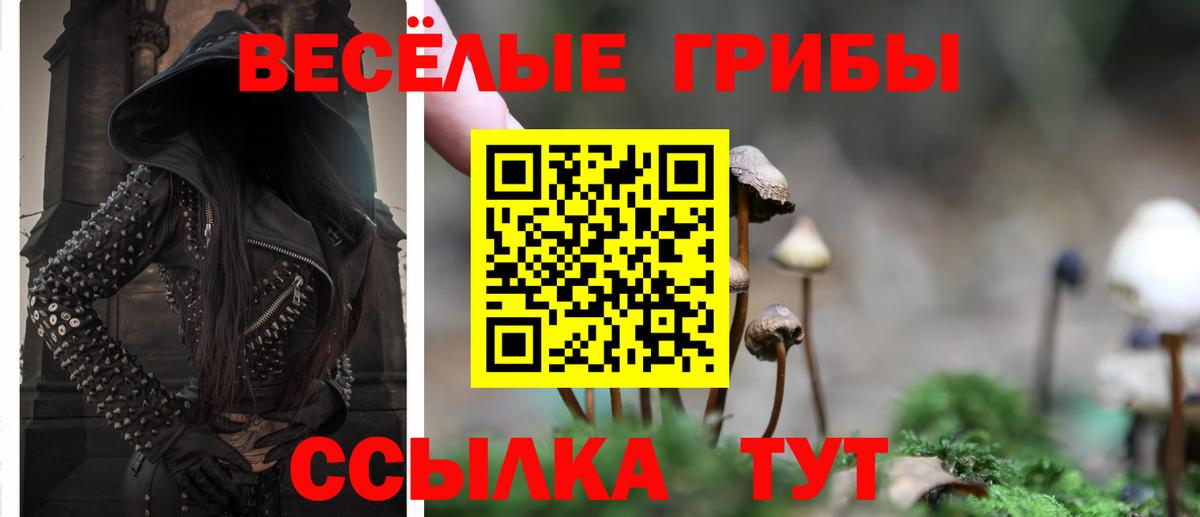 Галлюциногенные грибы мицелий Железноводск